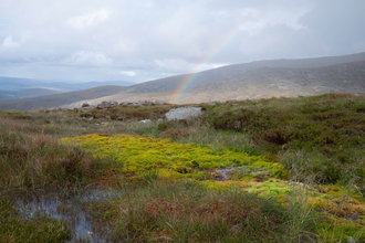 Upland spring, flush and fen