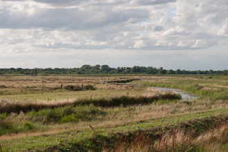 Lowland fen