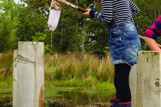 Keira pond dipping