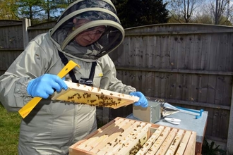 Carol Albinson, trainee beekeeper with her hives at home