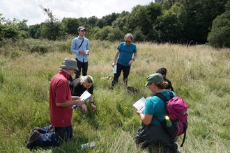 Jane Godfrey taking part in a wildlife survey