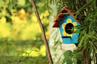 Photo of a bird house set up on a tree, painted green with a floral design.