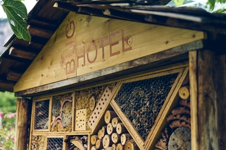 Photo of a wooden bug hotel