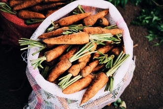 Photo of carrots harvested and collected in a white sack