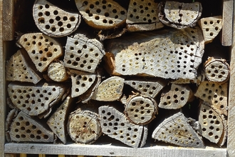 Photo of an insect hotel made up of logs and wood
