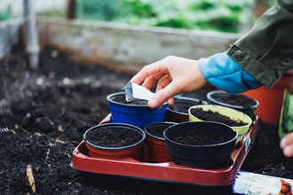 A photo of a hand scattering seeds into soil in pots