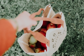 Image looking down into bag of a variety of fruits