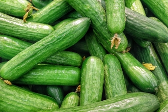 Harvested courgettes 