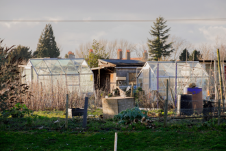  Sunnyside Community Green Space and Allotment Project