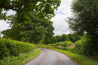 Hedgerows