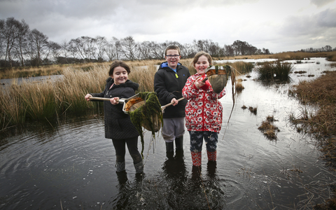 Children use nets in water