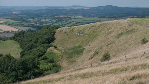 Lowland limestone grassland