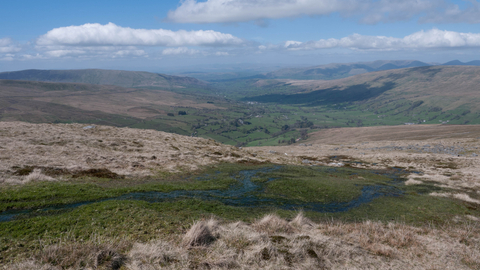 Upland spring, flush and fen