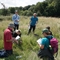 Jane Godfrey taking part in a wildlife survey