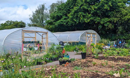 GROWE Project Polytunnels