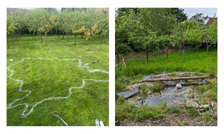 Then & Now - Bare grass becomes a pond for wildlife