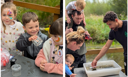 Pond dipping is proving very popular with kids and adults alike