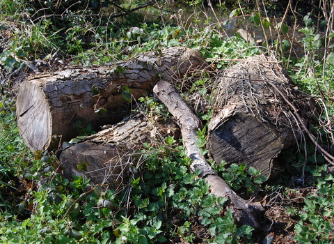 How to make a log pile