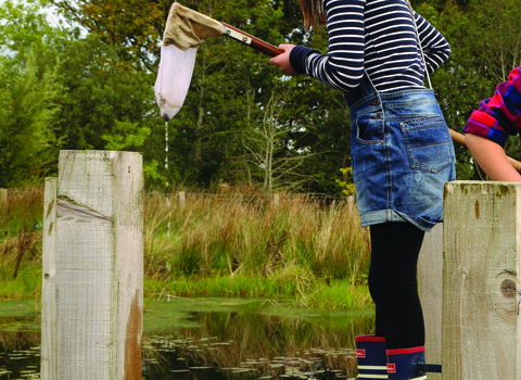 Keira pond dipping