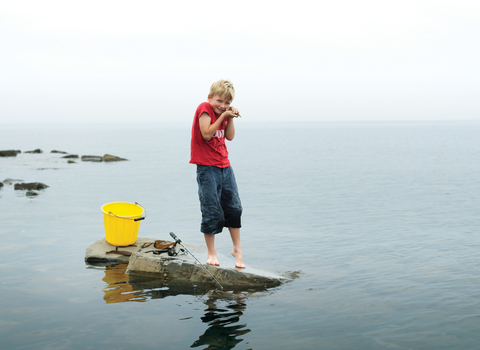 Archie stands on a rock in the sea with a bucket