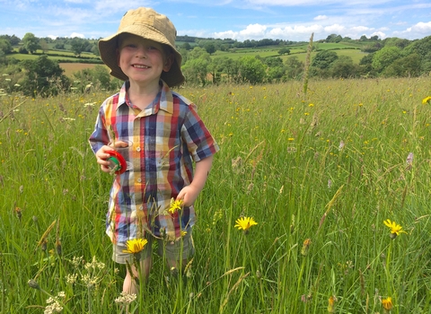 Bryn playing in a meadow