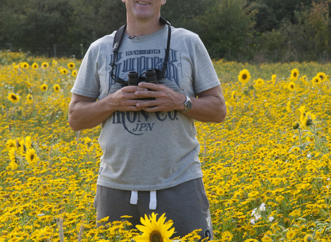 Iolo stands in a field of sunflowers