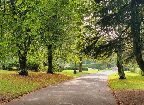 Path through the trees at Lightoaks Park