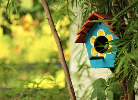 Photo of a bird house set up on a tree, painted green with a floral design.