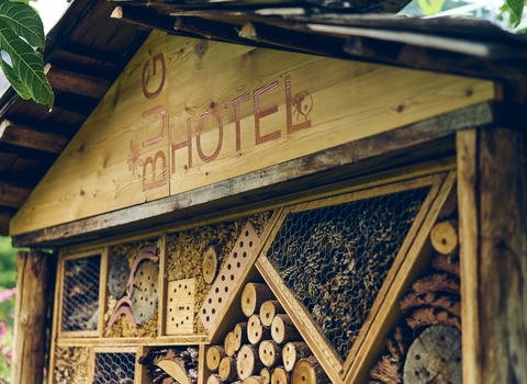 Photo of a wooden bug hotel