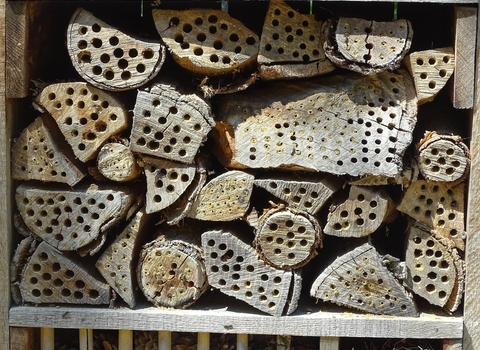 Photo of an insect hotel made up of logs and wood
