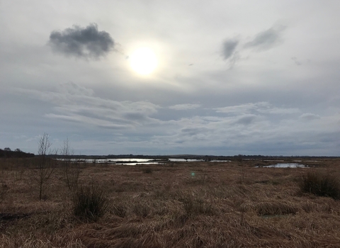 A landscape photo of Little Woolden Moss, with bogs in the distance