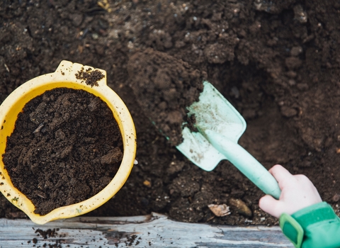 A hand holding a shovel lifting up soil to put into a yellow bucket