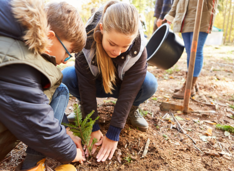 Two children planting a small green plant in the soil